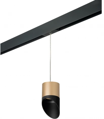 Трековый светильник однофазный 220V Lightstar Rullo PRORP349087 (круглые)