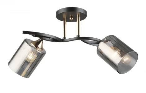 Потолочная люстра на штанге Мелодия Света SL1N SL2171-2 CF+GD 000066060