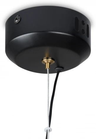 Подвесной светильник Freya Enchantment FR5384PL-L5BL (LED, 220V, на проводе)