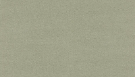 Обои виниловые Marburg Project 31839 10,05 x 0,53 м