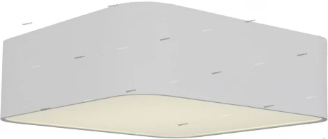 Потолочный светильник ST Luce Presente SL955.052.01