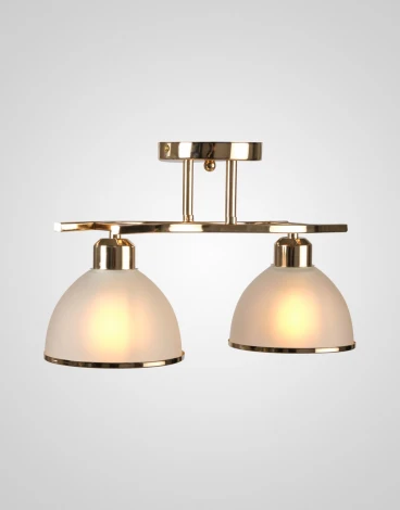 Потолочная люстра на штанге Мелодия Света SL1N 000023813