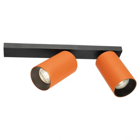 Спот настенно-потолочный терракот Citilux Axel CL512524