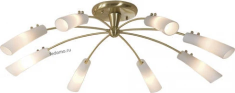 Потолочная люстра Citilux Ringo CL205182