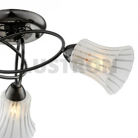 Потолочная люстра IDLamp Zhinevra 246/3PF-Blackwhite