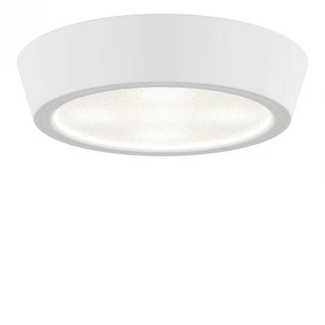 Потолочный светильник круглый Lightstar Urbano Mini 214704 (LED, 220V, IP65)