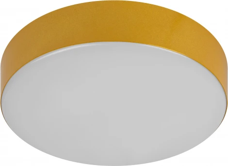 Потолочный светильник светодиодный ЭРА Relict 22 SPB-6-20 4К MG