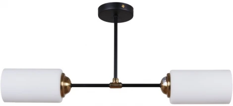 Потолочная люстра на штанге Reluce 32348-0.3-02 (220V)