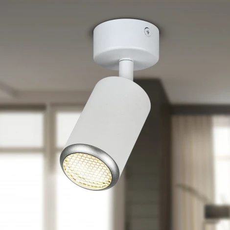 Спот ЭРА OL55 WH/SL OL55 WH/SL