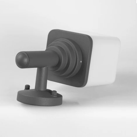 Настенный уличный светильник Lussole LSP-8956 (220V, IP44)