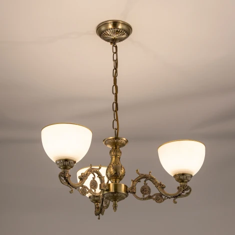 Подвесная люстра Citilux Адриана CL405233 (220V, на цепи)