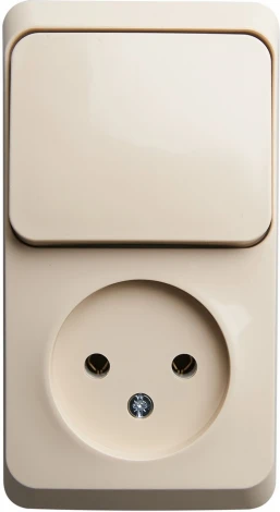 Розетка накладная без заземления с одноклавишным выключателем (кремовый) Systeme Electric BPA16-204K