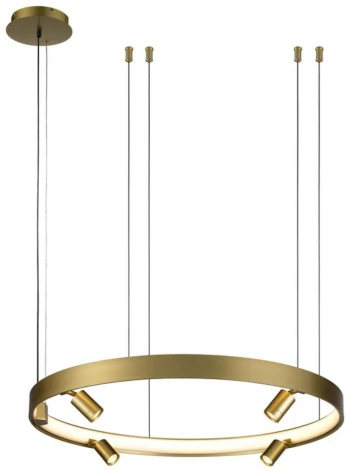 Подвесной светильник Aployt Jolanta APL.041.03.50 (LED, 220V, на тросе)