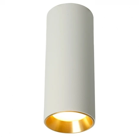 Светильник накладной Feron ML101 51378