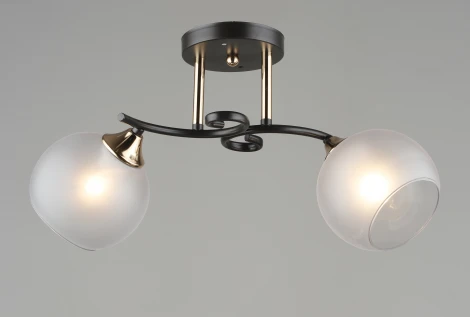 Потолочная люстра на штанге SL6484-2 CF+GD Мелодия Света SL1N 000065865