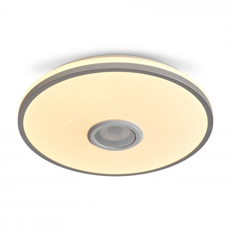 Потолочный светильник светодиодный умный дом Freya Rond FR6226CL-L36W 38Вт LED