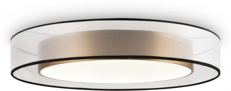 Потолочный светильник круглый Freya Zoticus FR6005CL-L48G (LED, 220V, круглые)