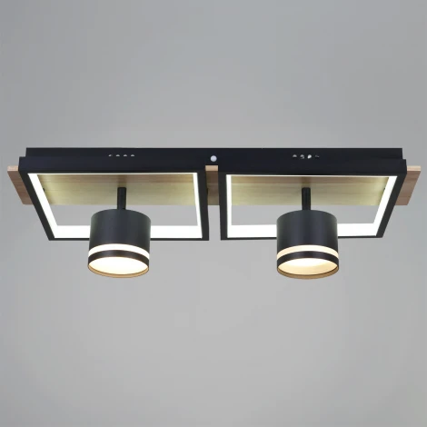 Потолочная люстра с пультом с регулировкой цветовой температуры, яркости и ночным режимом Reluce 19560-0.3-2+2 BK+WOOD