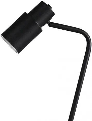 Торшер Олси 07046,19 Kink Light (220V)