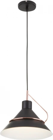 Подвесной светильник Freya Amis FR5025PL-01B