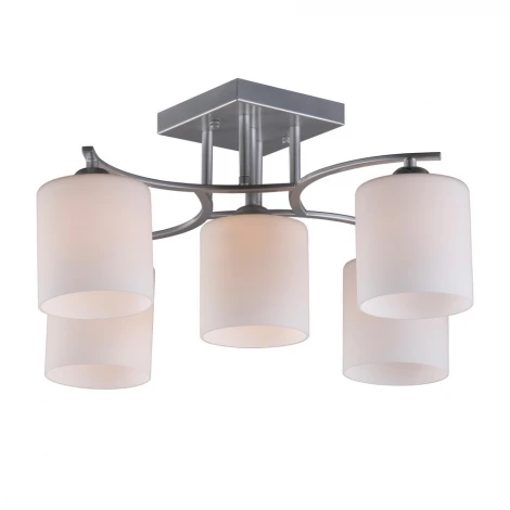 Потолочная люстра Omnilux Pisticci OML-55307-05 (220V)