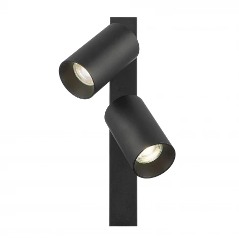 Настенно-потолочный спот Citilux Axel CL512521 Черный
