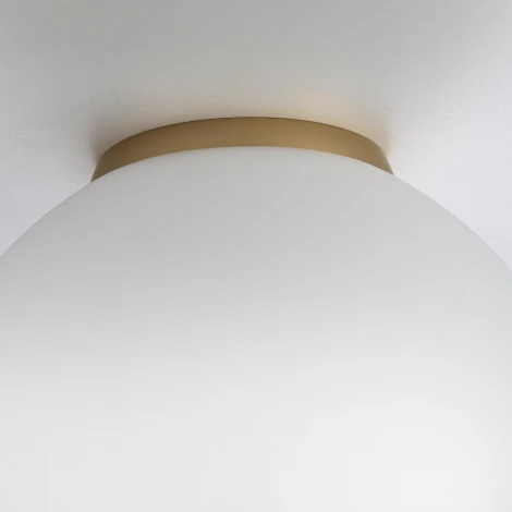 Настенно-потолочный светильник Citilux Ron CL941D20B2