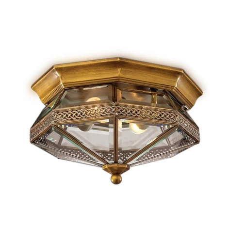 Потолочный светильник Odeon Light Lagon 2545/2