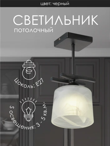 Потолочная люстра на штанге Мелодия Света 000061917