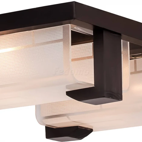 Настенно-потолочный светильник Silver Light Samurai 248.59.2