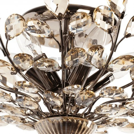 Потолочная люстра MW-Light Адриатика 280011205