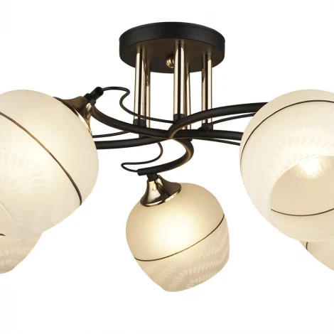 Потолочная люстра Wedo Light Modi 66638.01.69.05