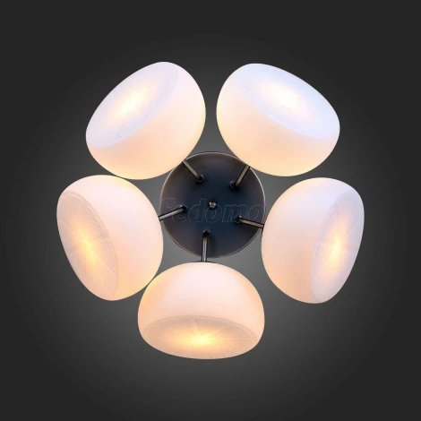 Потолочная люстра ST Luce Arancio SL482.502.05