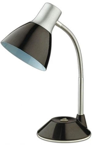 Интерьерная настольная лампа Odeon Light Penu 2416/1T