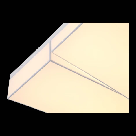 Потолочный светильник ST Luce Faleto SL416.502.02