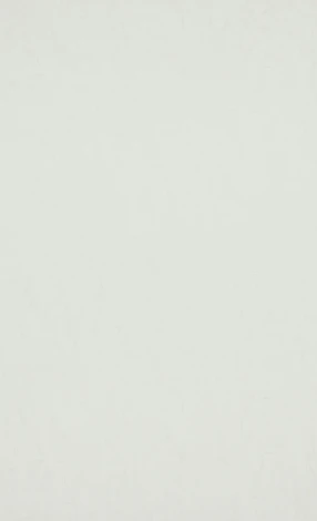 Рулонные обои BN International BN 17116