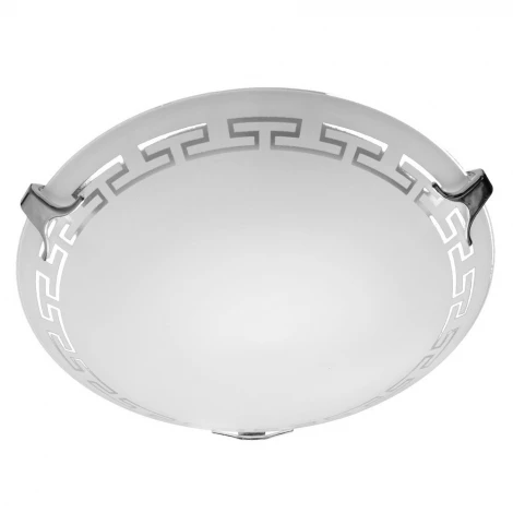 Настенно-потолочный светильник Arte Lamp Antica A4220PL-1CC
