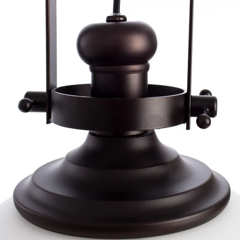 Подвесной светильник Arte Lamp Nautilus A8025SP-1CK