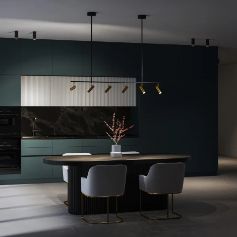 Спот на штанге Eurosvet Barre 20252/6 LED черный/латунь (220V, пульт управления)