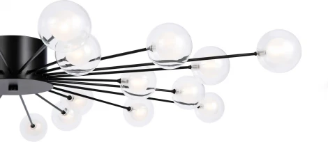 Потолочная люстра Freya Celebrity FR5242CL-24B1 (220V, шарики)