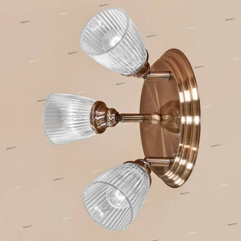 Спот Citilux Виндзор CL539631