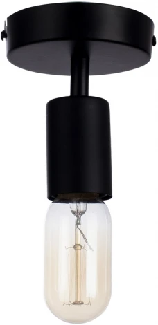 Потолочный светильник Arte Lamp Fuori A9184PL-1BK