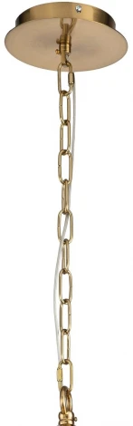 Подвесная люстра Favourite Plexus 2963-7P