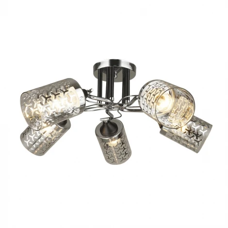 Потолочная люстра Wedo Light Faedis 66445.01.13.05