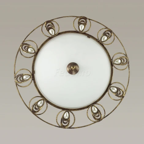 Настенно-потолочный светильник Odeon Light Kanti 3484/3C