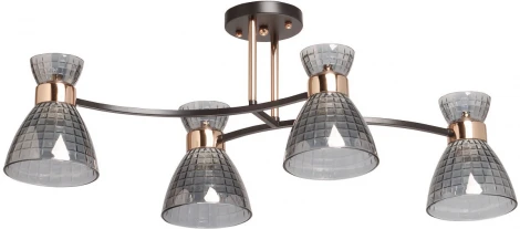 Потолочная люстра на штанге DeMarkt Dela 635015904 (220V)