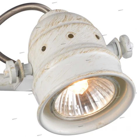 Спот на штанге Citilux Веймар CL537522 (220V, круглые)