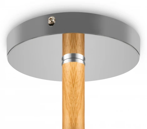 Потолочная люстра Freya Helen FR5329-PL-05-CH (220V)