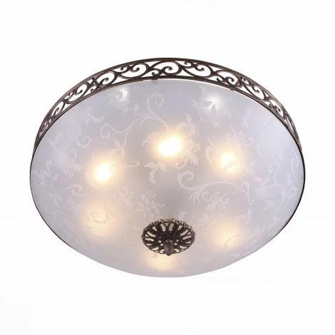 Потолочный светильник ST Luce Mezzo SL244.202.06