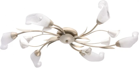 Потолочная люстра MW-Light Восторг 242016906 (220V, цветы, листья)